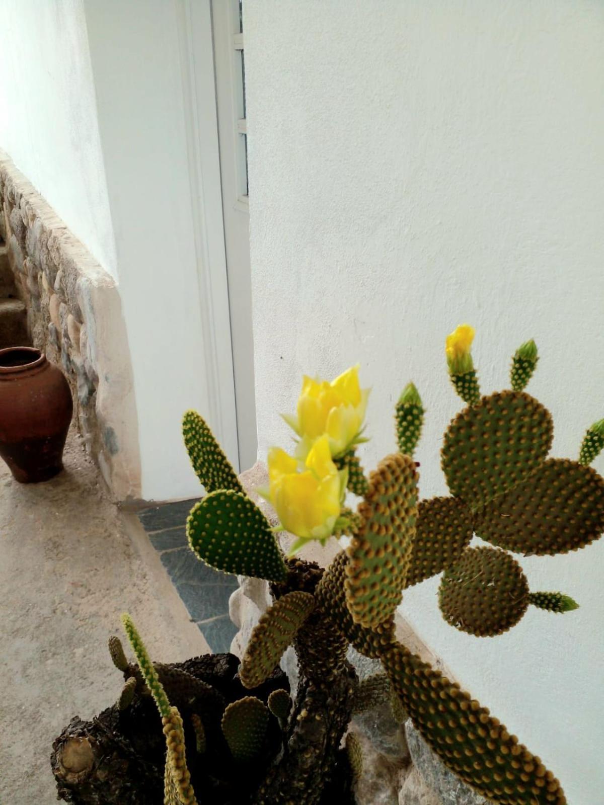 Rumihuasi Holiday home Los Reartes
